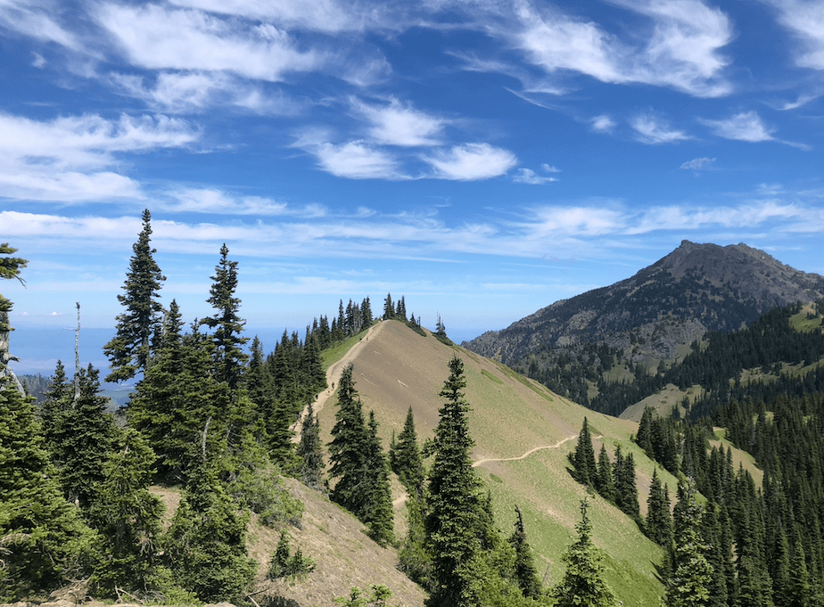 An incredible hike with the family on the west coast in 2023